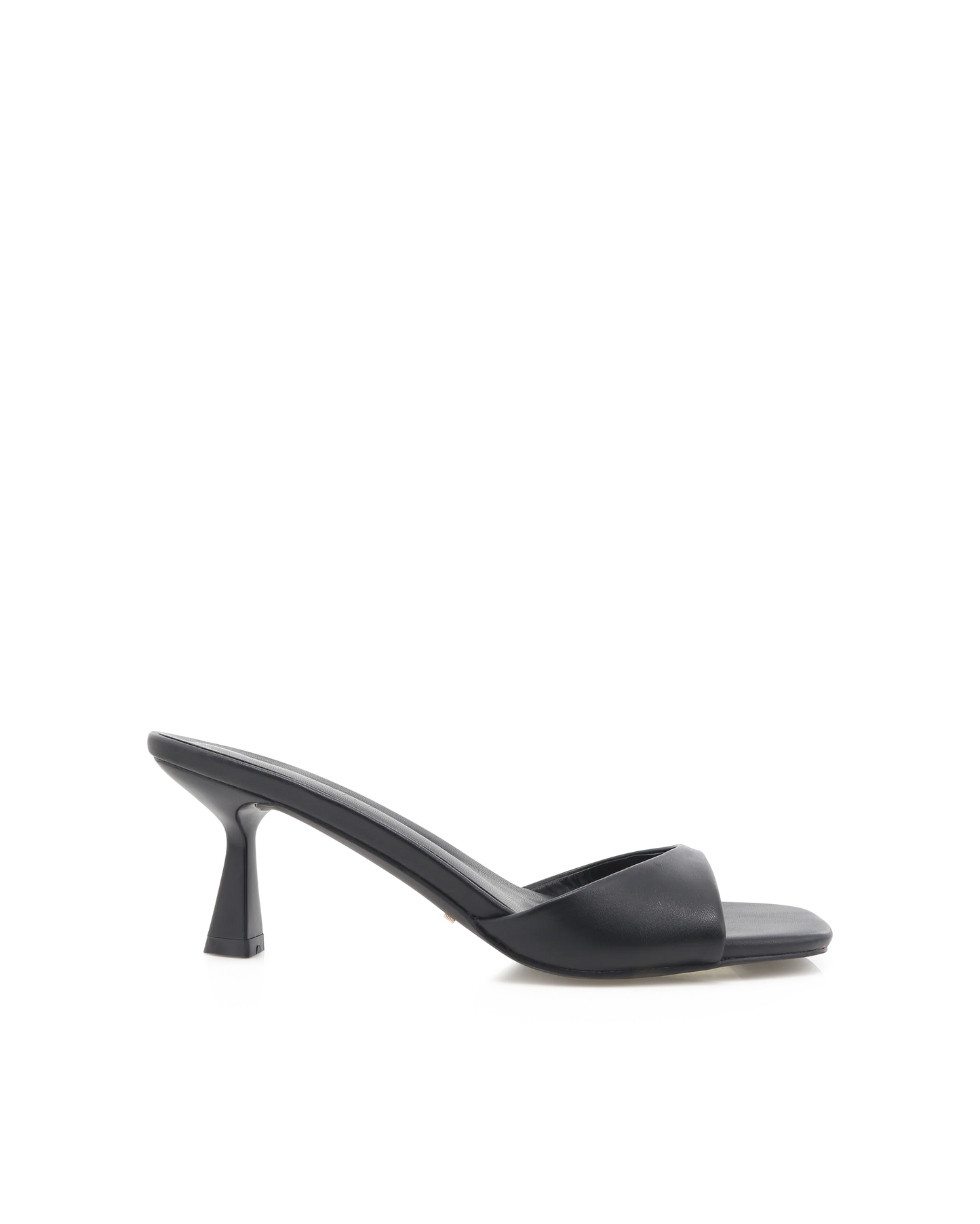 Xaviera Black