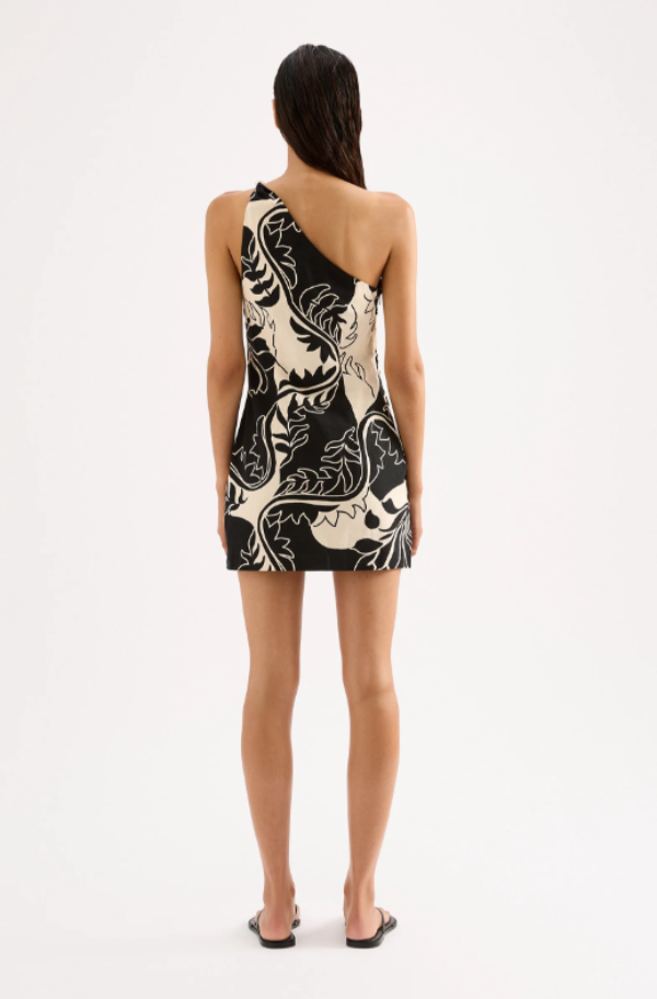 Salvador Mini Dress Salvador