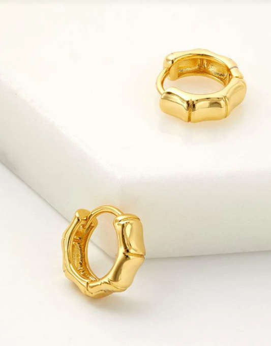 Tamara Huggie Gold